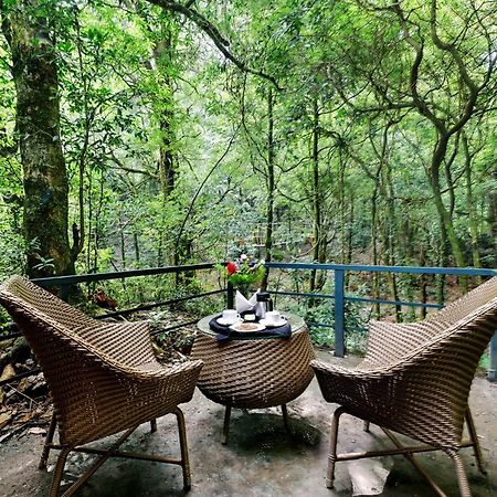 Ayar Jungle Resort Nainital Extérieur photo